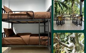 Evergreen Guest House
